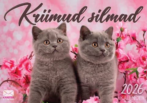 Seinakalender 2026 Kriimud Silmad kalender A4.