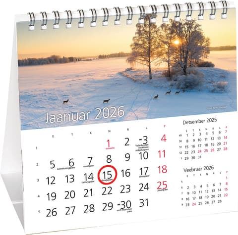 2026 Lauakolmnurk, 155 x 145mm