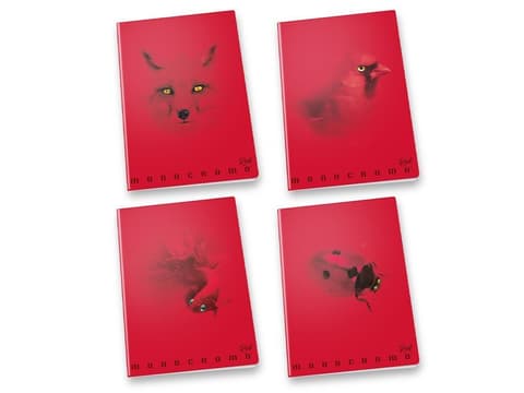 Kaustik Pigna A4 ruuduline 42 lehte Monocromo Red