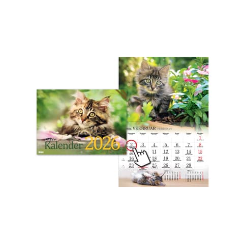 2026 Seinakalender TIMER Kassikalender