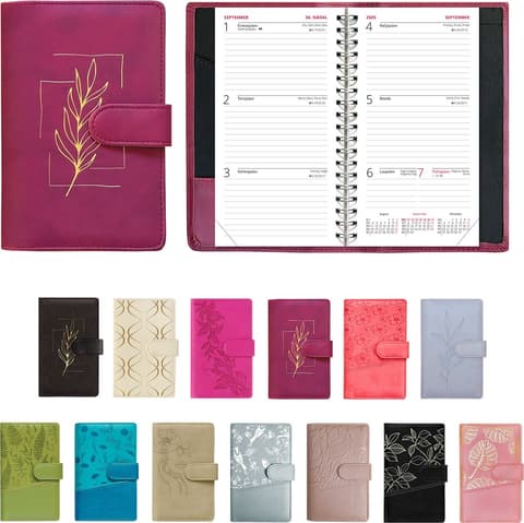 2025/2026 Miniboss kool, Fashion kaaned, kõik kaanevärvid