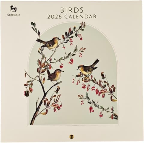 Seinakalender 2026 Birds Wall