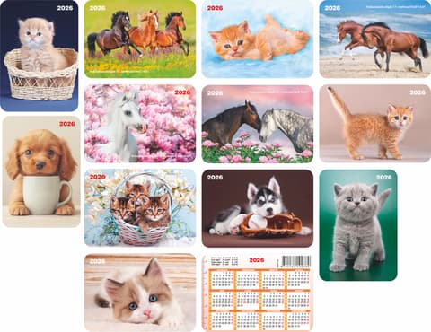 Suur taskukalender 2026