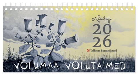 NAVITROLLA 2026, lauakolmnurk