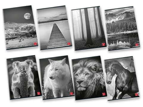 Kaustik Pigna A4 ruuduline 42 lehte Maxi Black&White