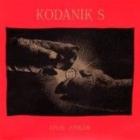 Vaiko Eplik & Jakob Juhkam - Kodanik S CD