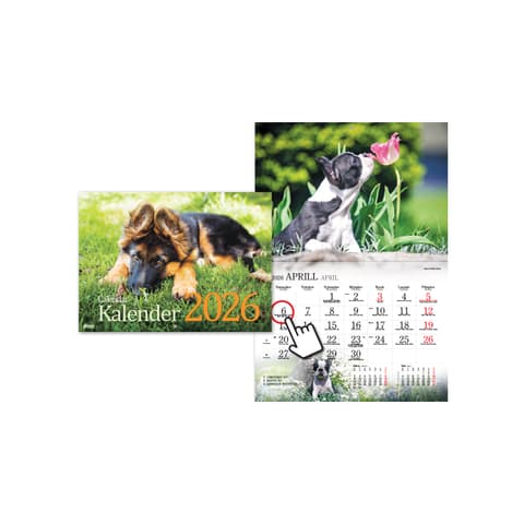 2026 Seinakalender TIMER Koerakalender