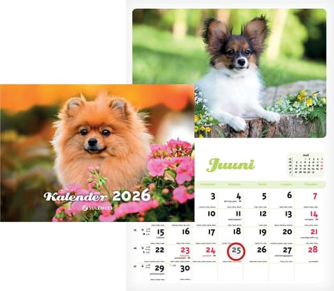 2026 Kutsukalender, avatuna 240 x 330mm, klamberköide