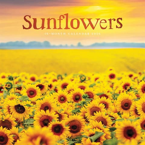 Seinakalender 2026 Sunflowers Wall