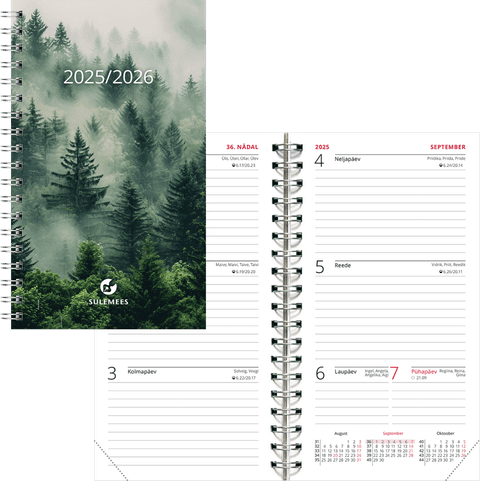 2025/2026 Miniboss kool, spiraalköites SISU