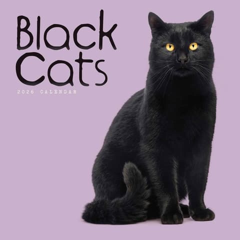 Seinakalender 2026 Black Cats (PFP) W