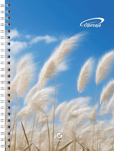 2025/2026 Õpetaja raamatu spiraalköites SISU